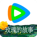 棉袜脚踩踏论坛